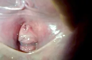 XXX દાદો fucked બે બચ્ચાઓ ગોઠવી રશિયન સમૂહ ચોદન