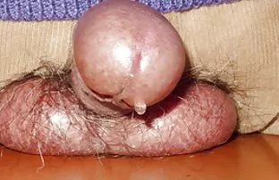 XXX Fucks અને licks ભોસ ચુત બે ગર્લફ્રેન્ડને રસોડામાં